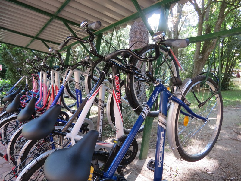 bikes